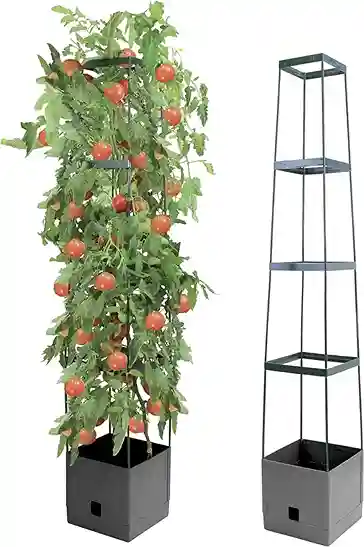 imagen de torre de cultivo para tomates