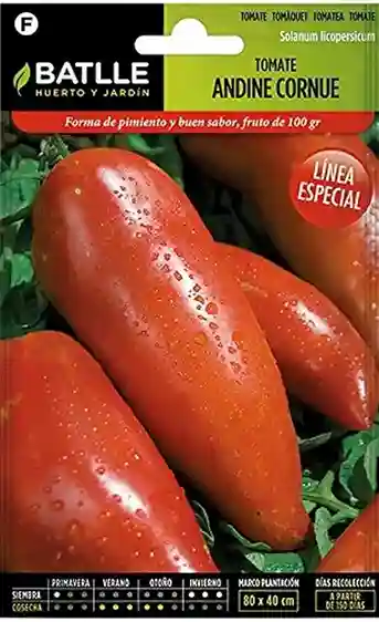 imagen semillas de tomate andine cornue