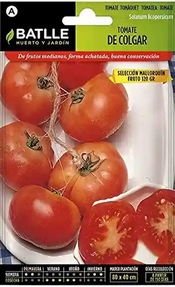 semillas de tomate de colgar mallorquín