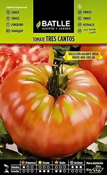 imagen semillas de tomate tres cantos