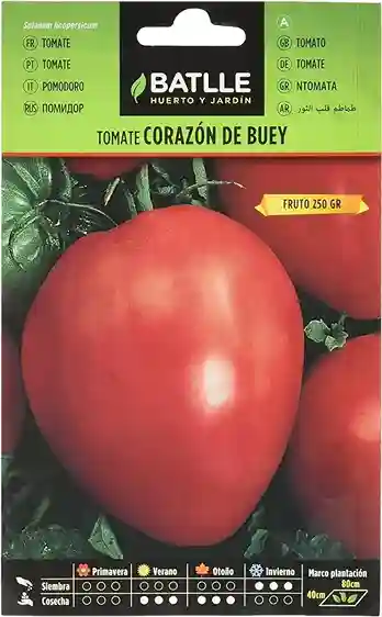 semilla de tomate corazon de buey